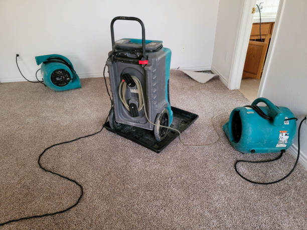 Best Water damage restoration near me  in Manahawkin, NJ