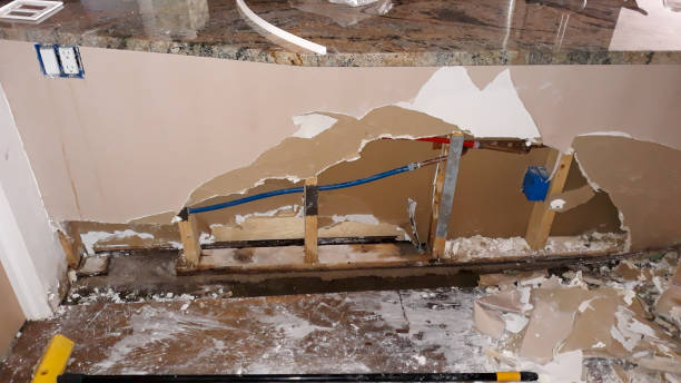 Best Water damage cleanup near me  in Manahawkin, NJ