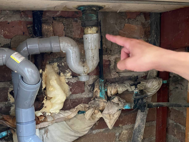 Best 24-hour water damage restoration  in Manahawkin, NJ